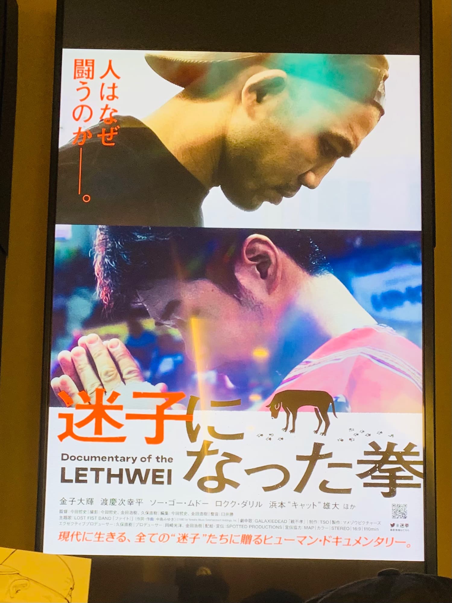 映画「迷子になった拳」鑑賞｜rsc products公式ウェブサイト